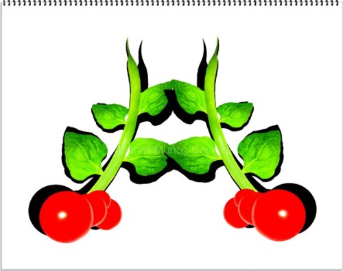 agenda para verduras