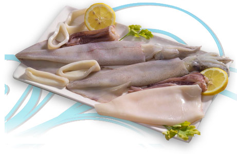 calamar limpio calamares