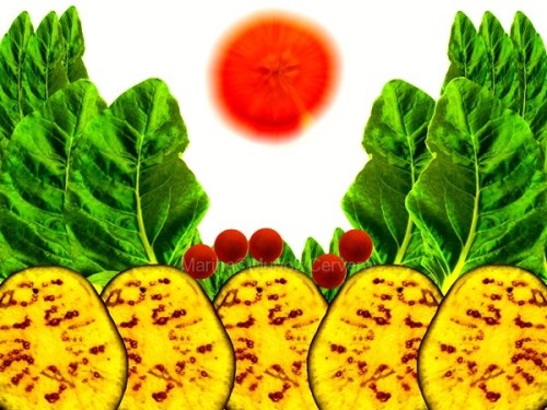 paisaje de árboles de acelgas, tomates, berenjenas y un sol de zanahoria