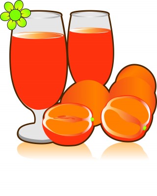 Vector de jugos de naranja