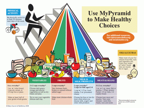 Food pyramid