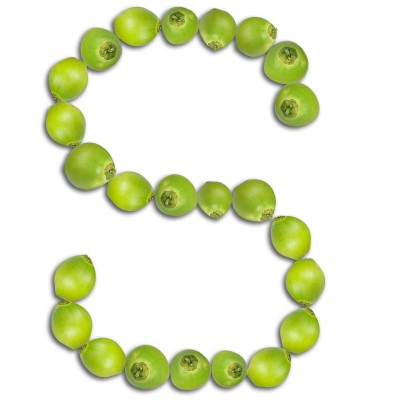 11037041_s letra del alfabeto de cocos verdes