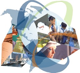 inocuidad inocuidad de los alimentos