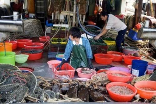 pesca_arrastre pesca de arrastre