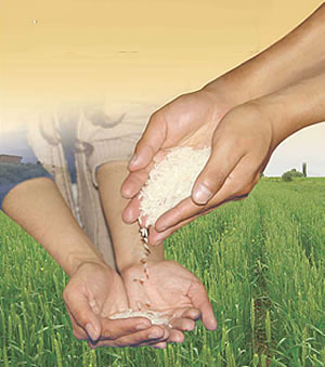 desarrollo sostenible