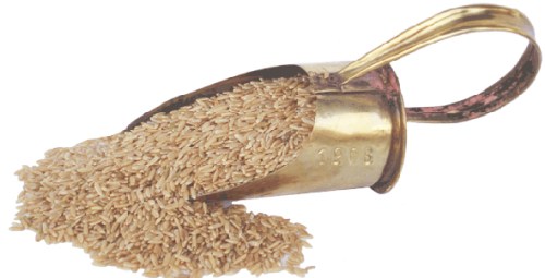 granos de arroz integral
