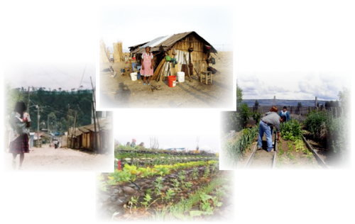 seguridad alimentaria