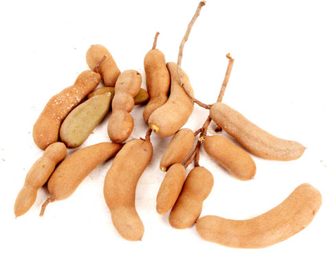 tamarindo tamarindus indica