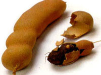 fruto de tamarindo
