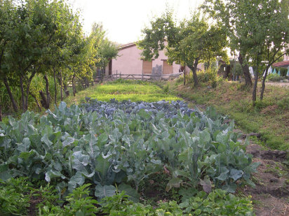 seguridad alimentaria