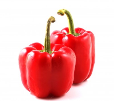 capsicum frutescens