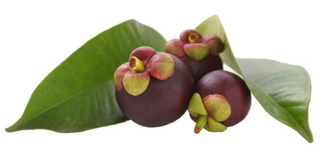 mangostan